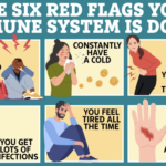 Immune System
